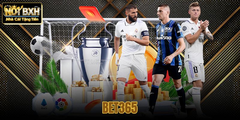Đế Chế Toàn Cầu Bet365: Từ Văn Phòng Nhỏ Đến Nền Tảng Công Nghệ Thể Thao Số 1 Thế Giớ