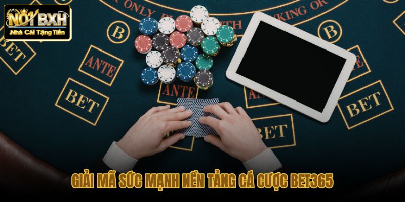 giai ma suc manh nen tang ca cuoc bet365