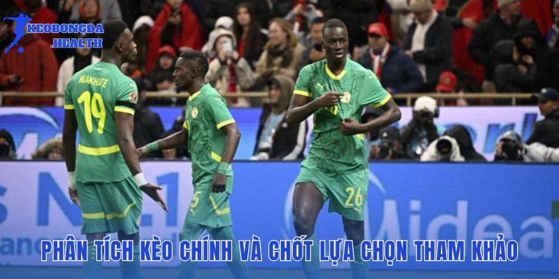 phan tich keo chinh va chot lua chon tham khao phan tich keo chinh va chot lua chon tham khao