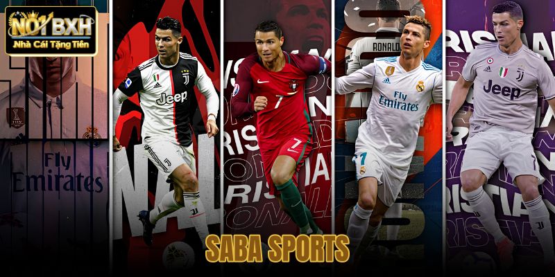 Đế Chế Saba Sports: Lịch Sử Hình Thành Và Vị Thế “Vua Kèo Thể Thao” Châu Á